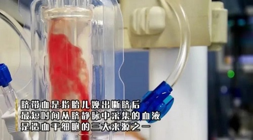 6688����-�й��ٷ���֤��������ֱ��ƽ̨